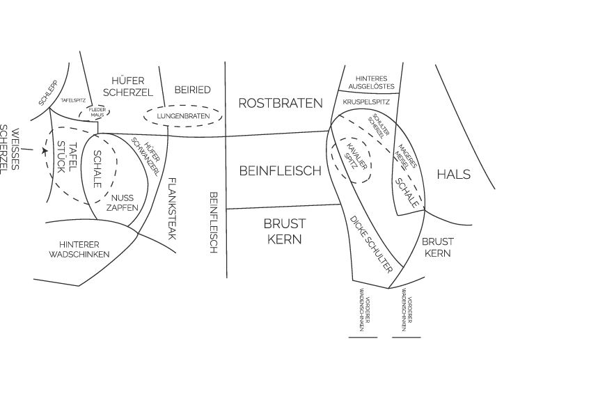 Fleischkunde Kuh